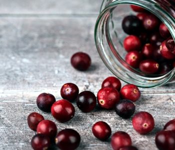 Brusnice - vyliečia močové cesty a bojujú proti rakovine (Foto: unsplash.com)